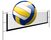 Volleyball logo